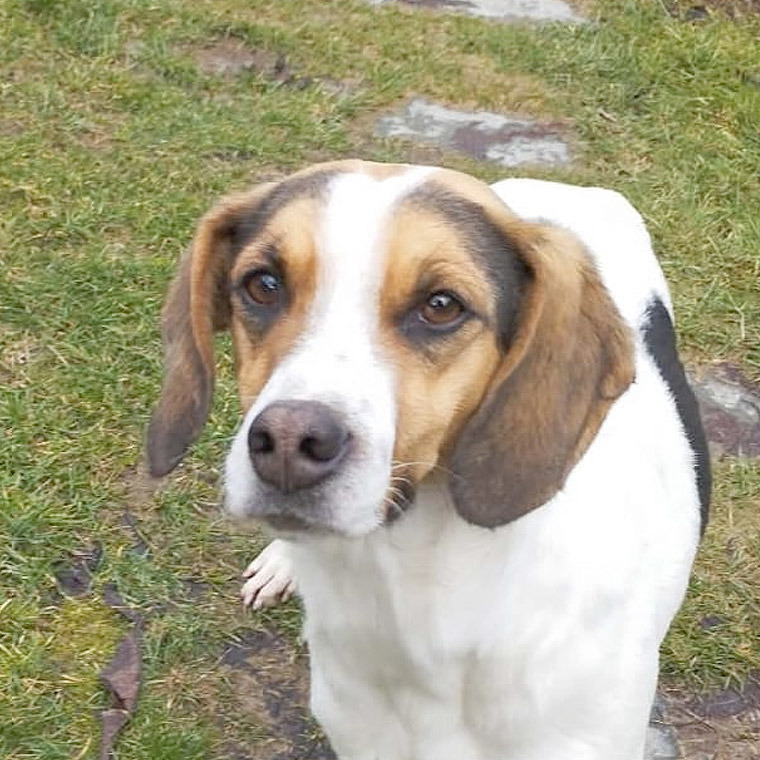 Foto von Ellie