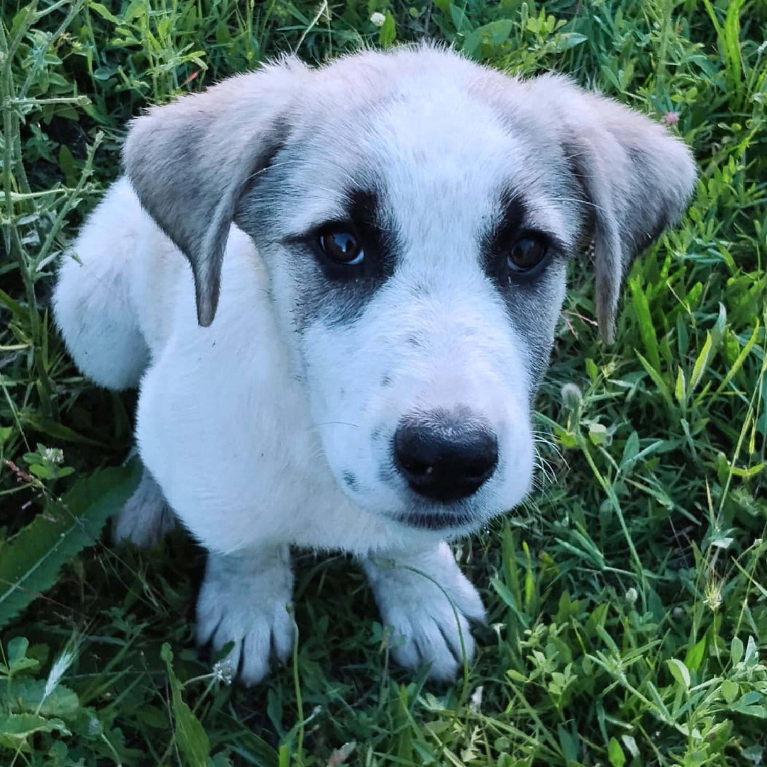 Foto von Meli